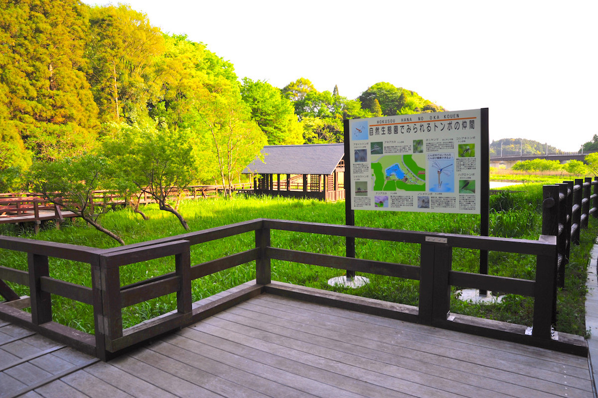 千葉県立北総花の丘公園