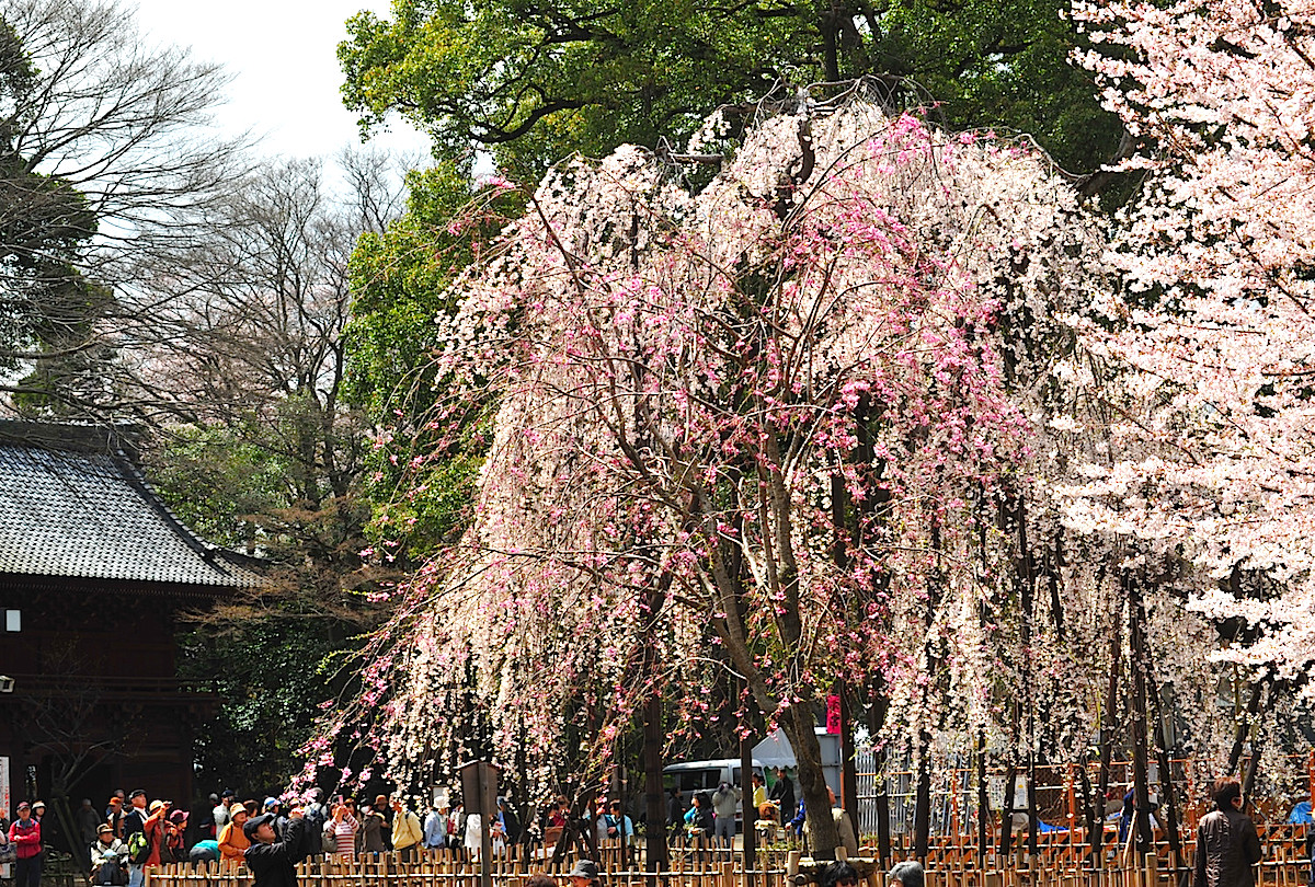 弘法寺