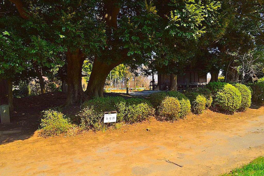 上総国分寺跡
