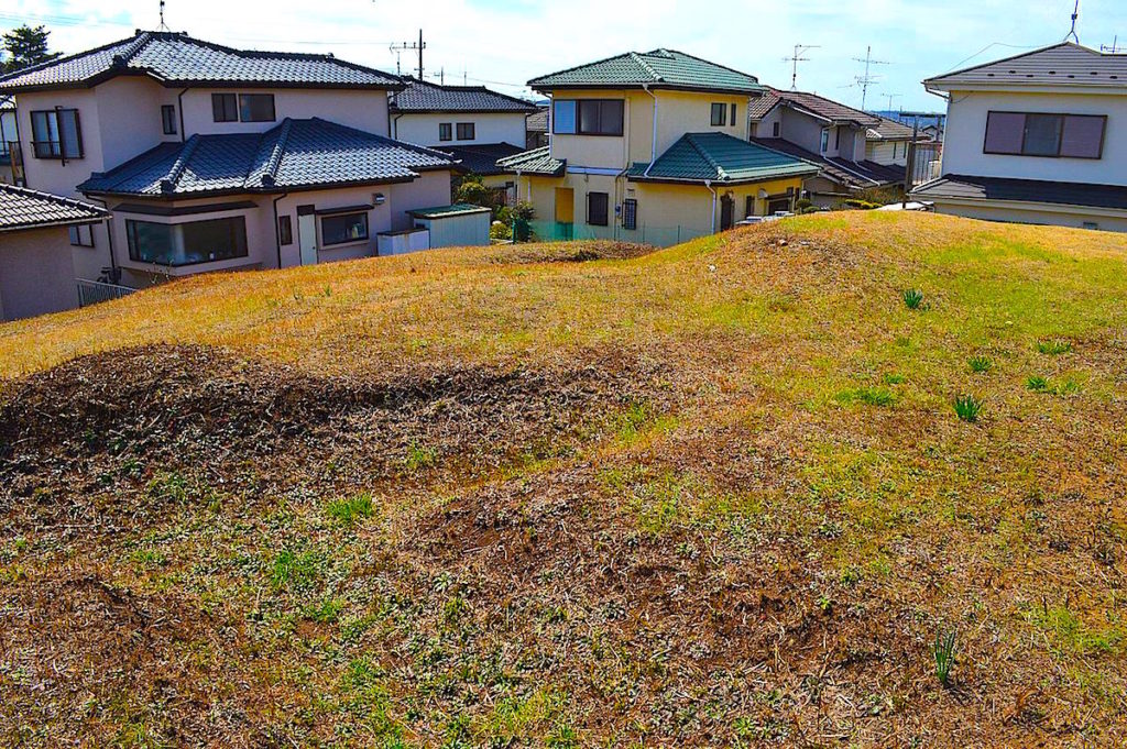 上総国分寺跡 南田瓦窯跡