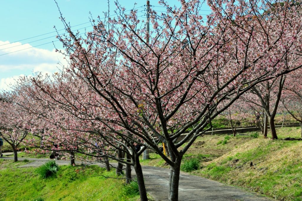 抱湖園