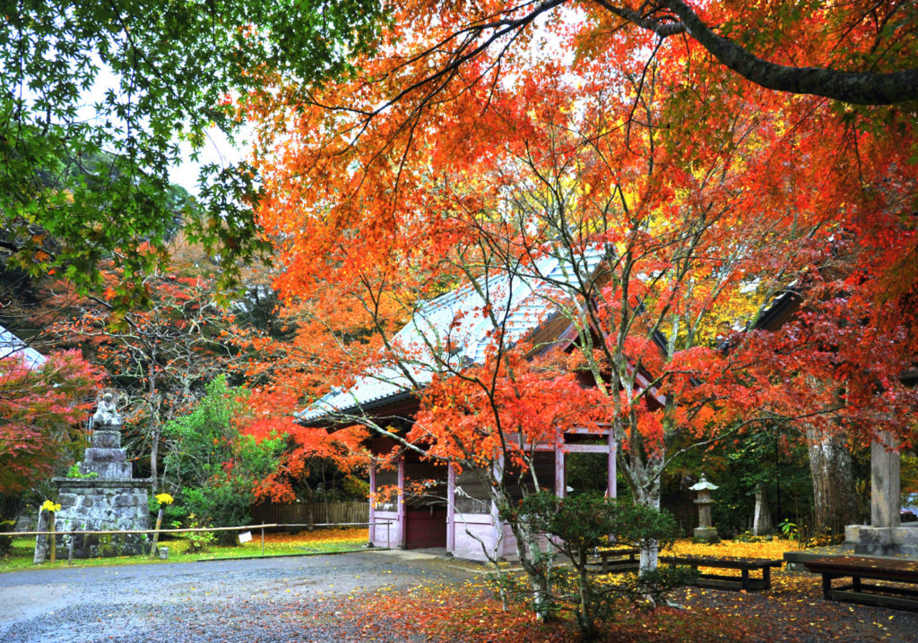 小松寺