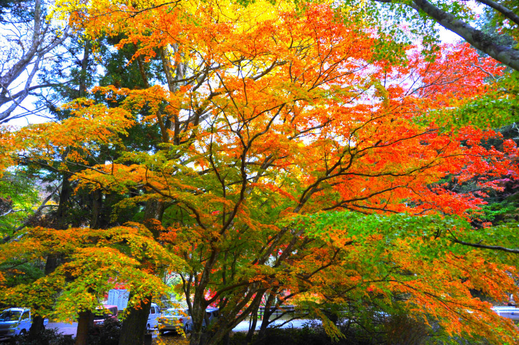 小松寺