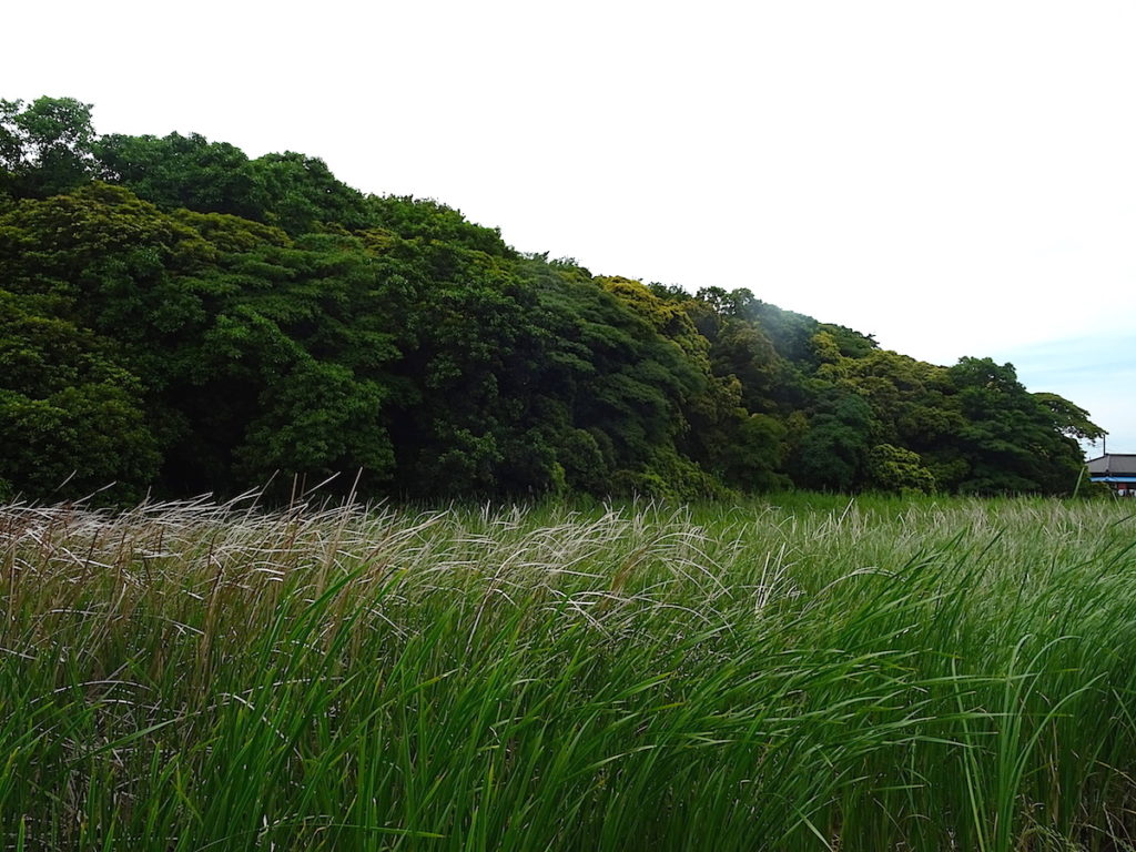 九条塚古墳