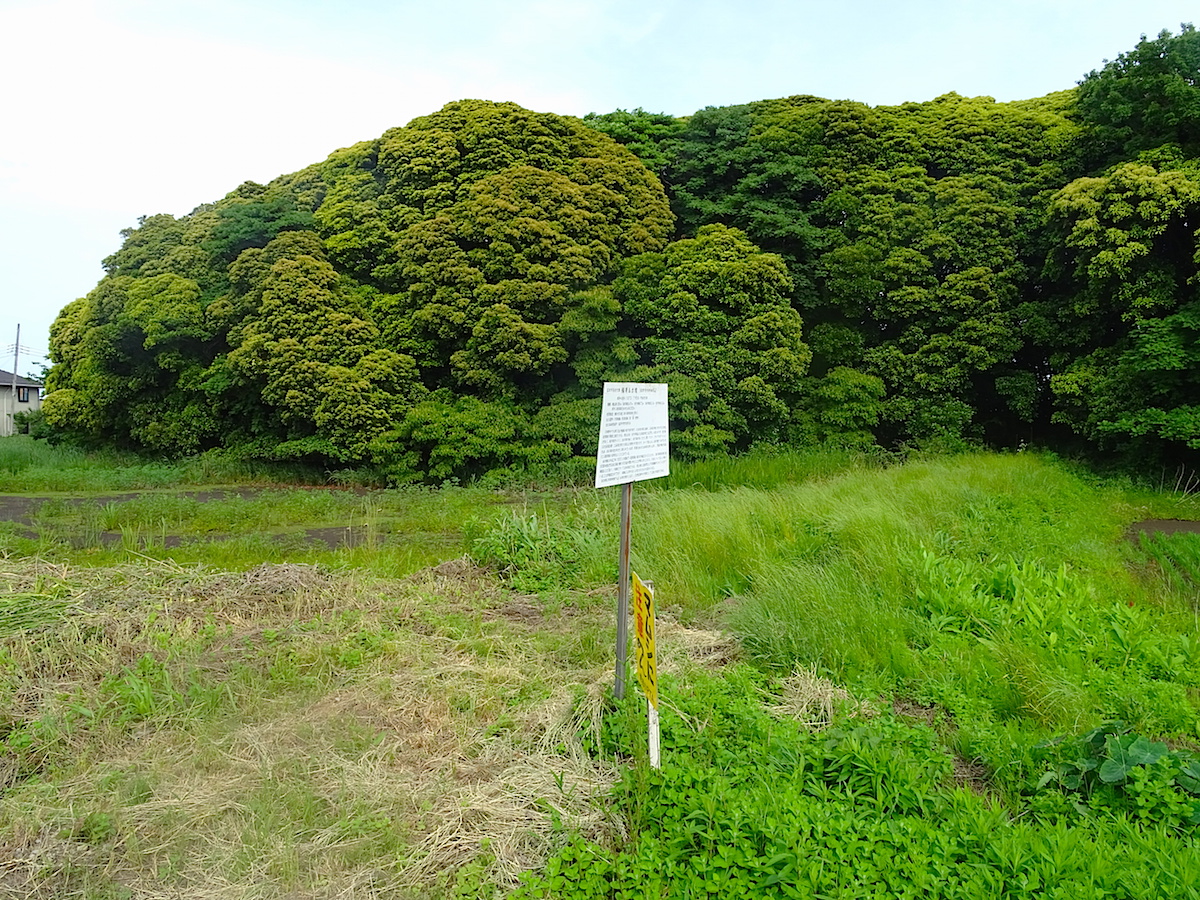 稲荷山古墳