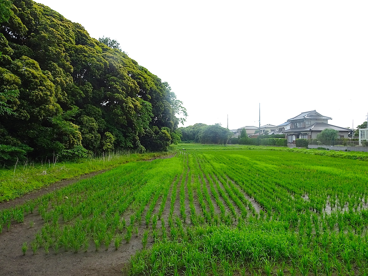 稲荷山古墳