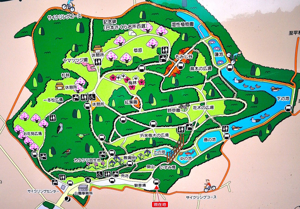 泉自然公園園内図