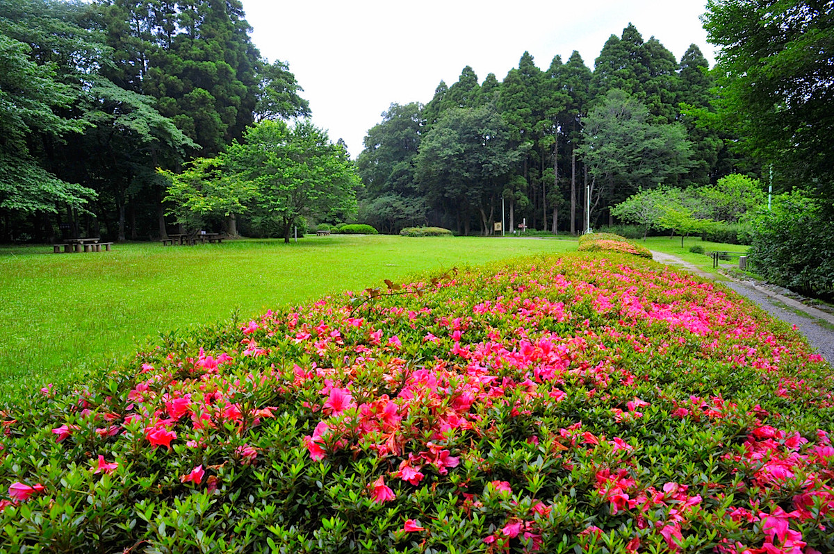 泉自然公園
