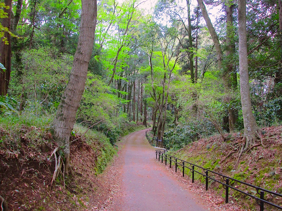泉自然公園