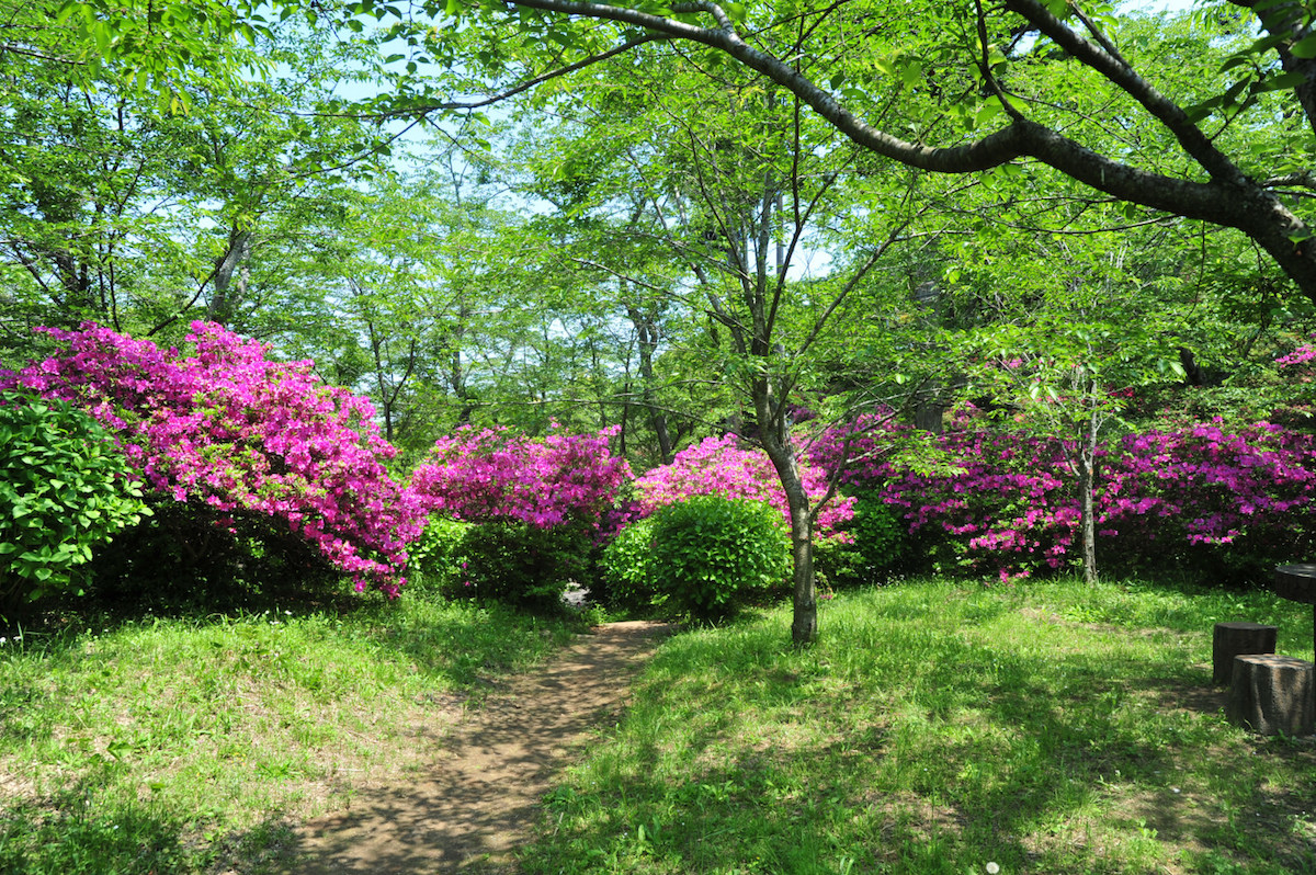 小見川城山公園