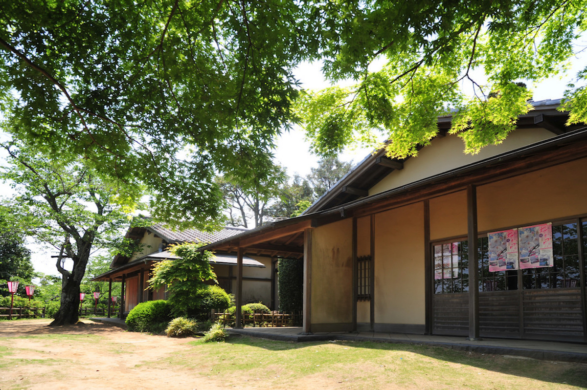小見川城山公園