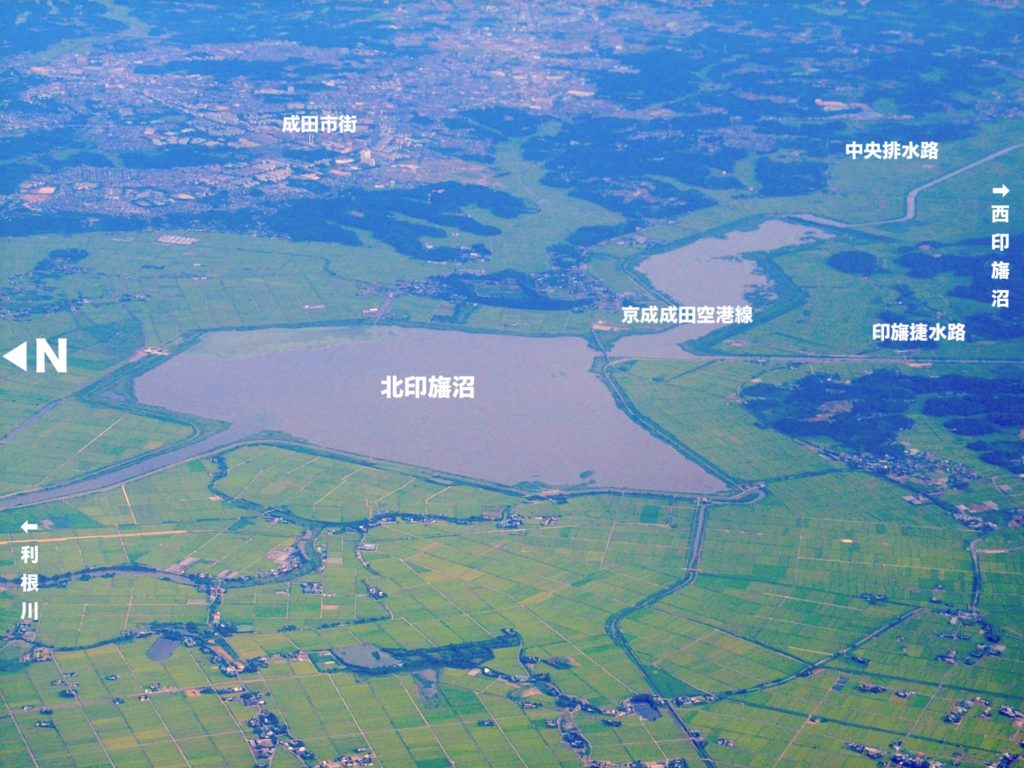 印旛沼