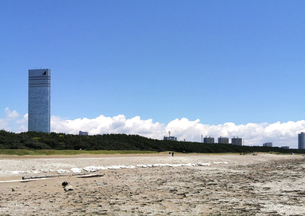 幕張の浜