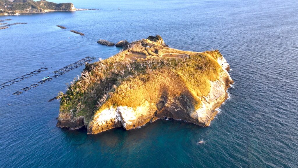 浮島