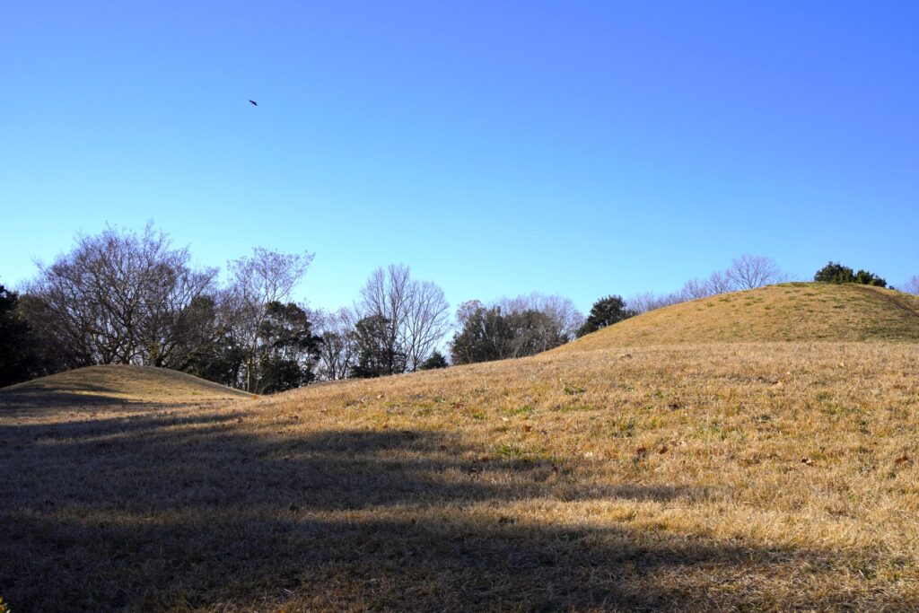 草刈古墳群（ちはら台公園）