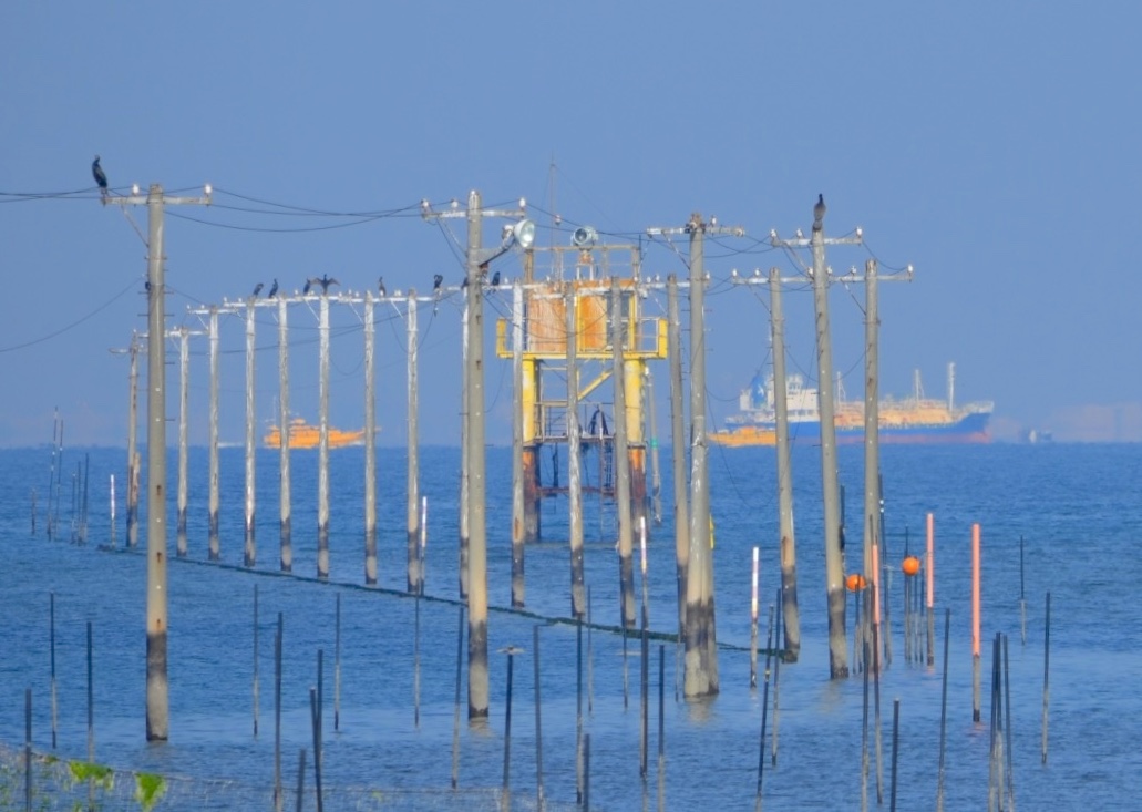 牛込海岸・海中電柱