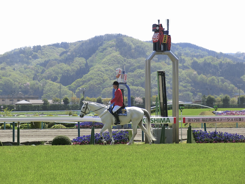 JRA福島競馬場