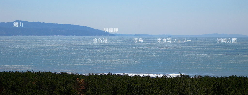 富津岬・中の島展望台から南側の眺め