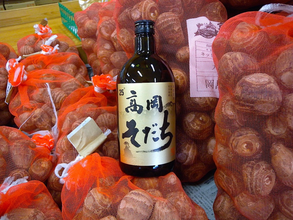 DSCN4207