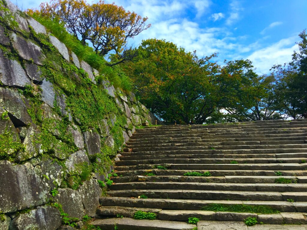 舞鶴公園