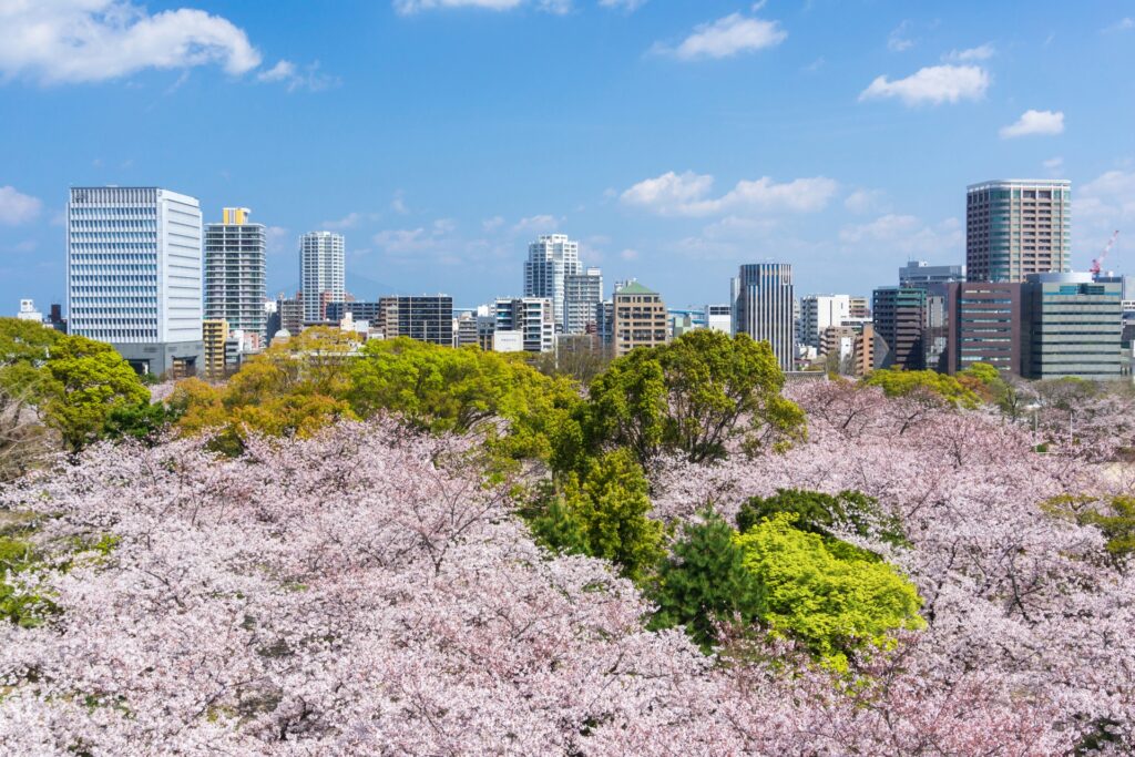 舞鶴公園
