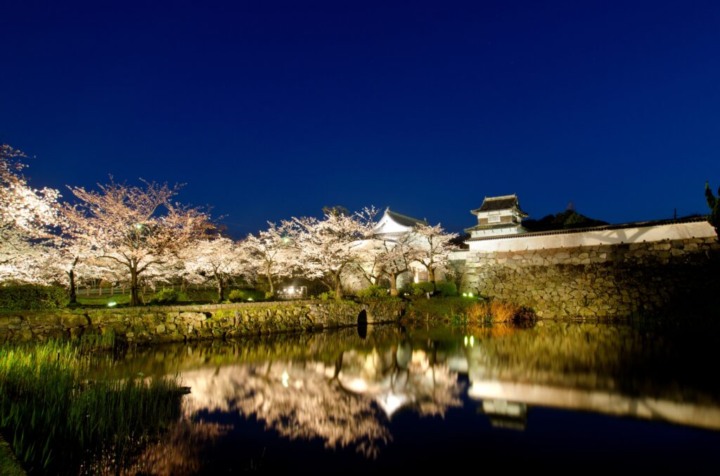舞鶴公園