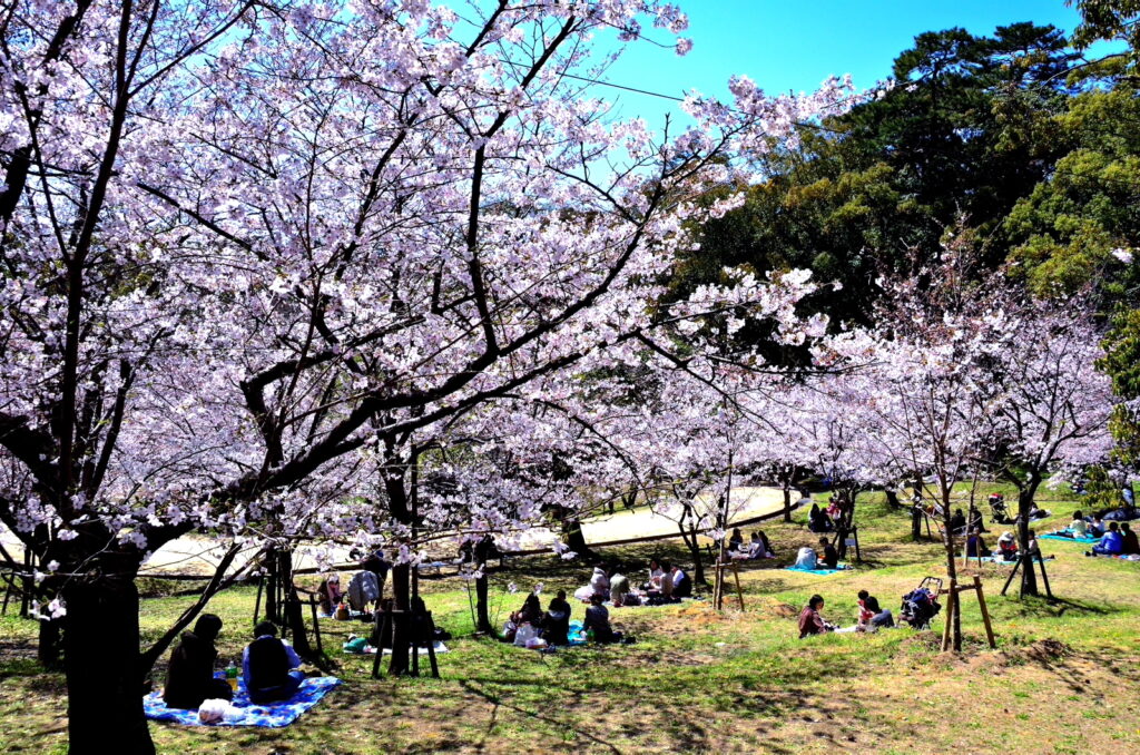 西公園