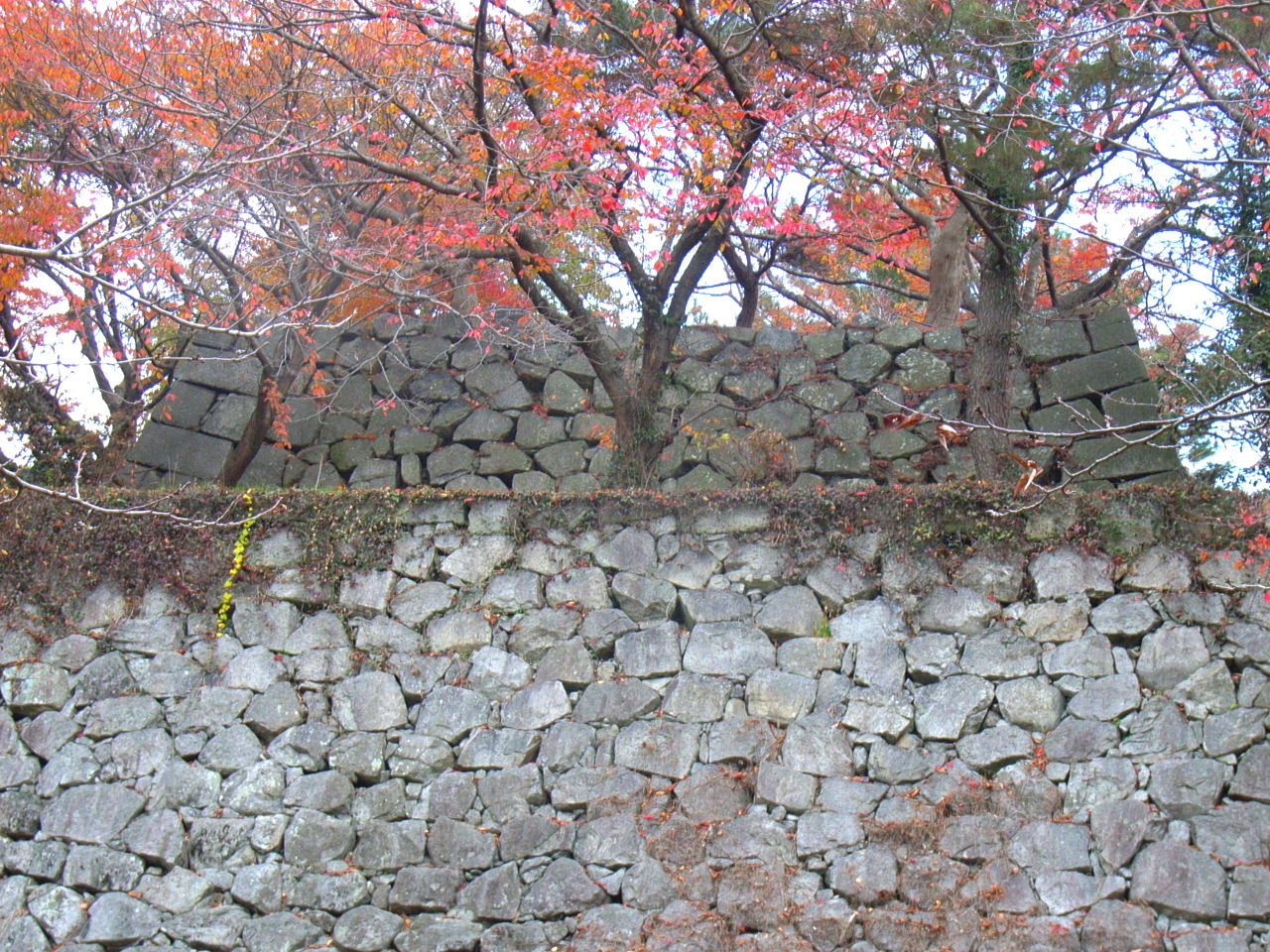久留米城跡