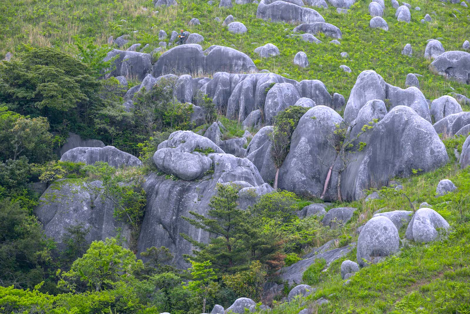 平尾台