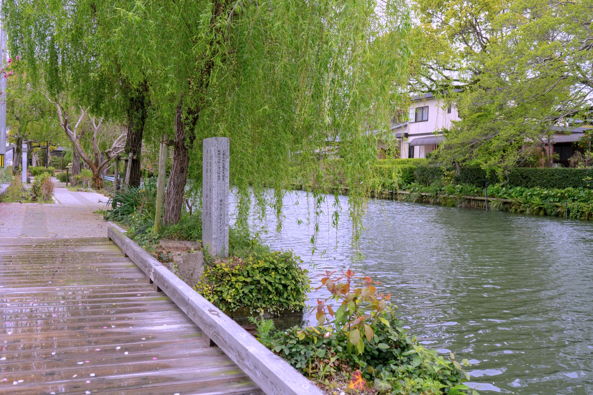 柳川・水辺の散歩道