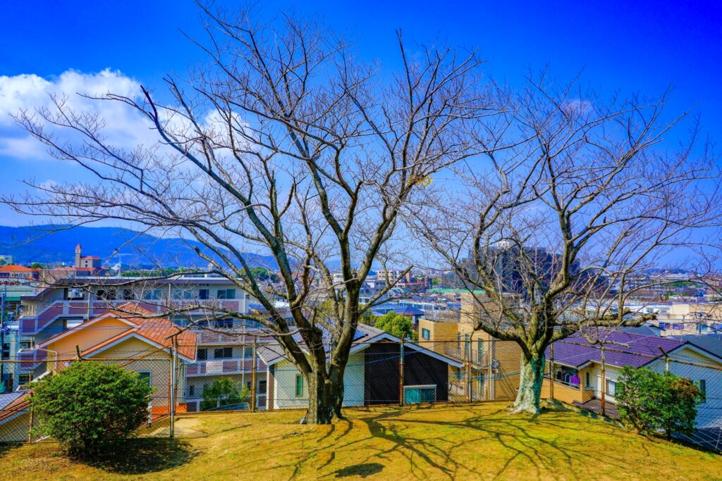 赤井手古墳
