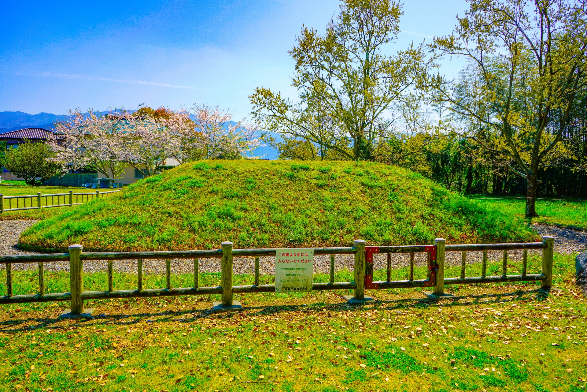 平原遺跡1号墳（伊都国女王の墓）