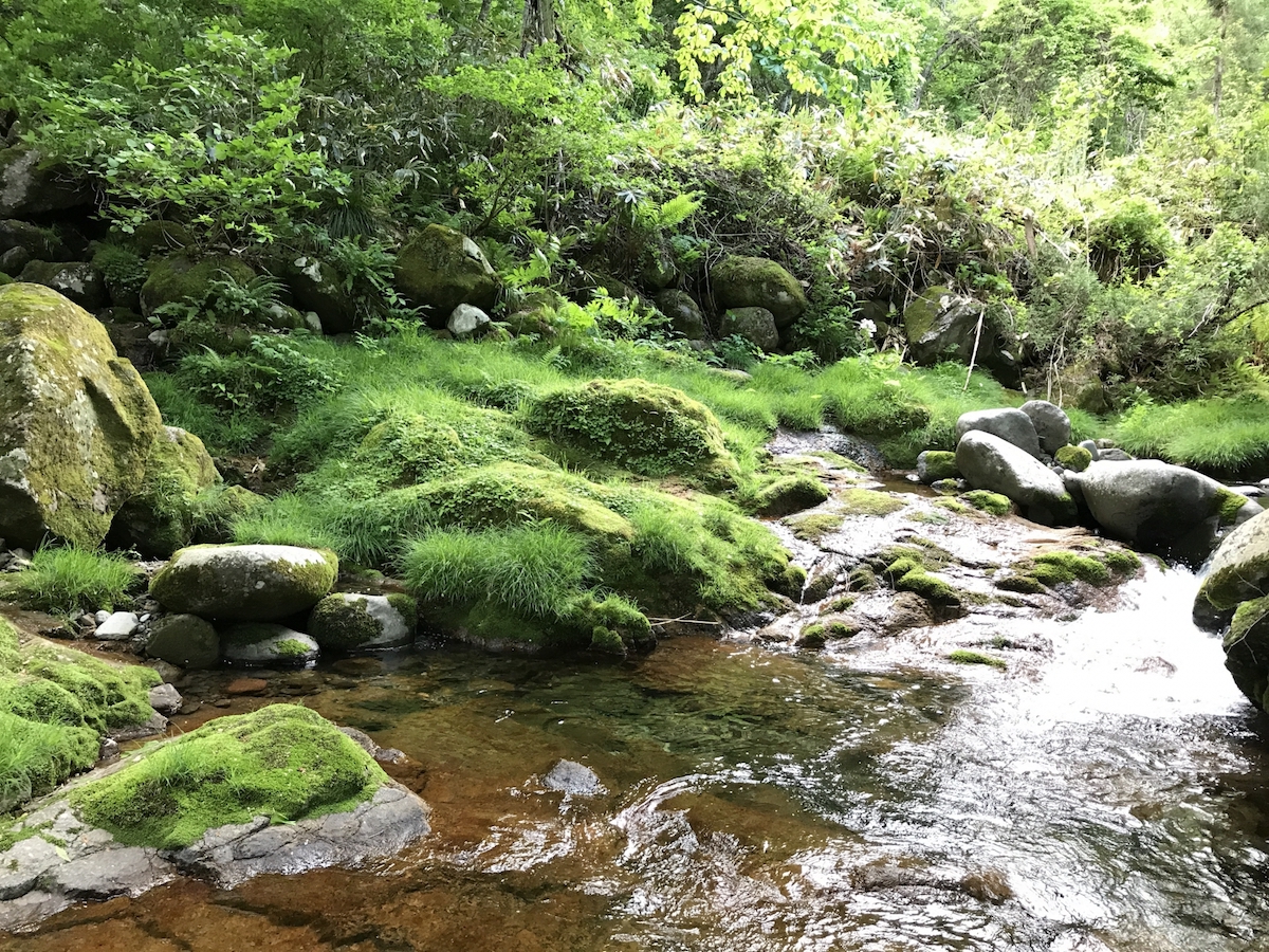 長良川源流碑