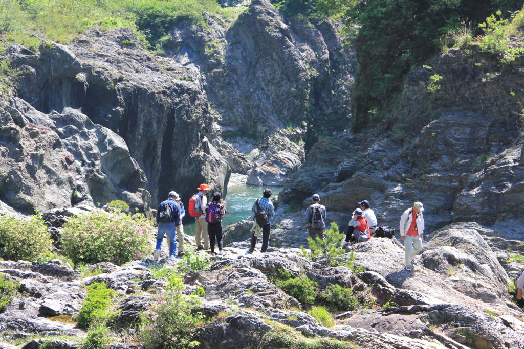 秘瀑 : 台高山脈珠玉の渓 秘瀑 : 台高山脈珠玉の渓 雑誌