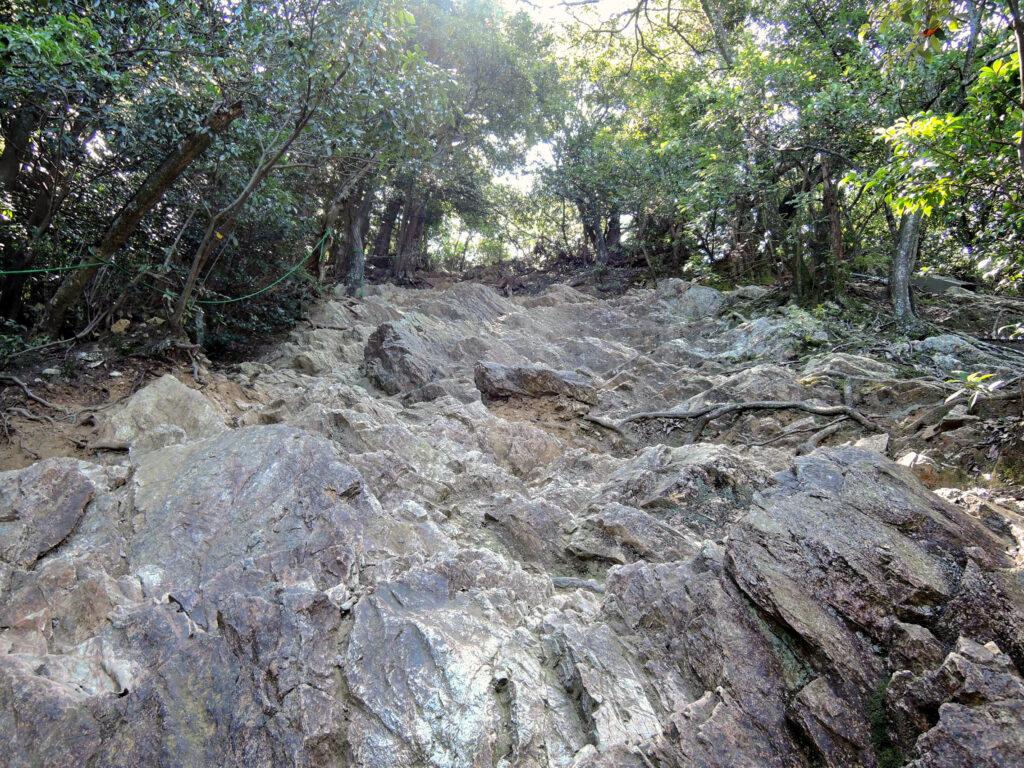 金華山