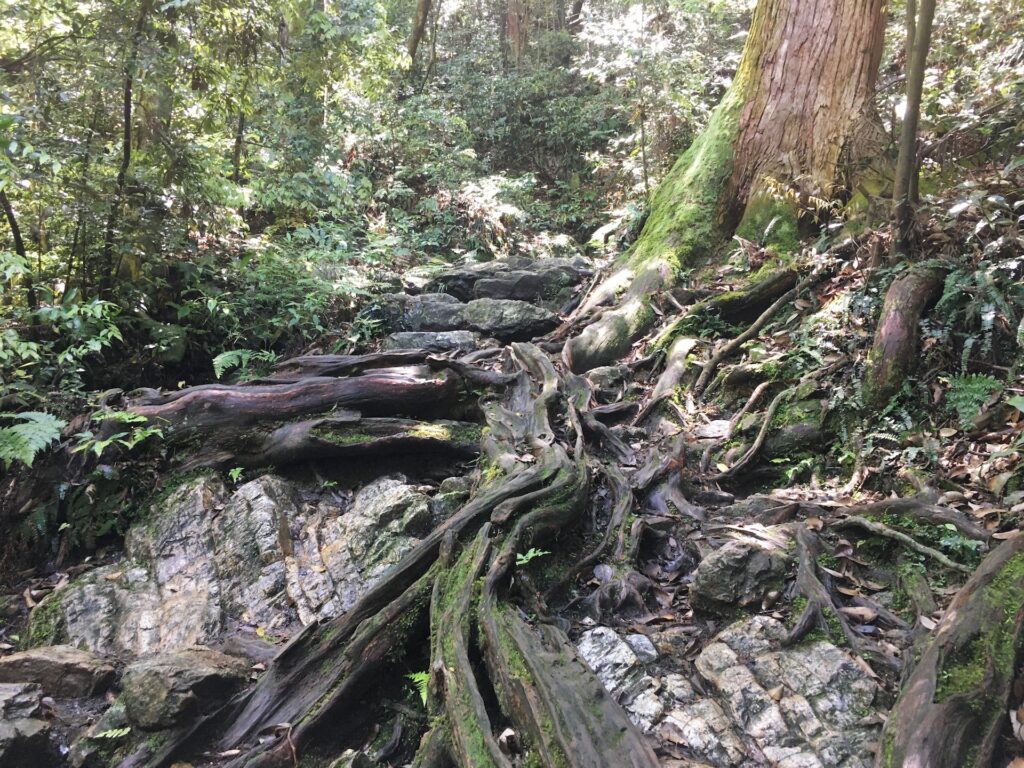 金華山