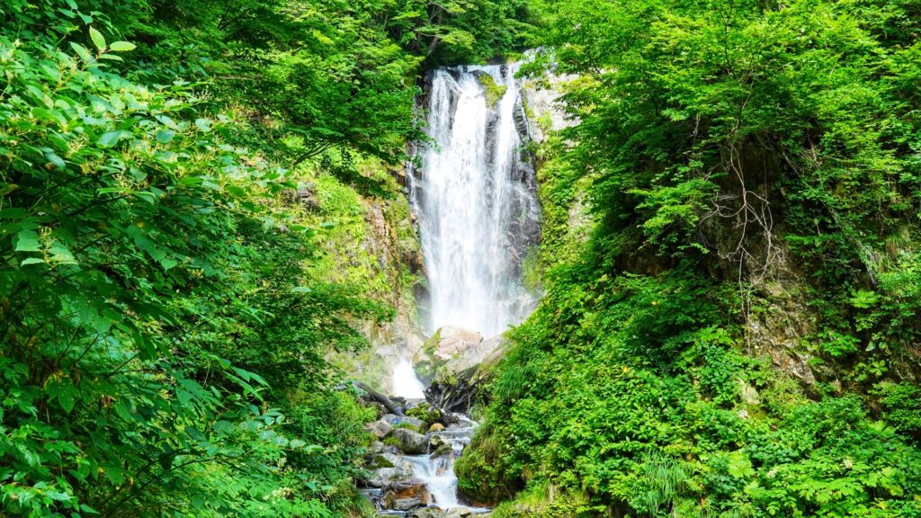 天生峠・天生湿原