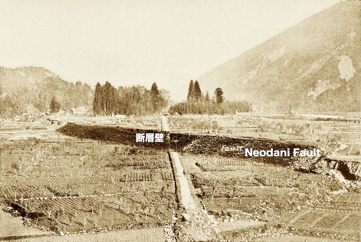 根尾谷断層