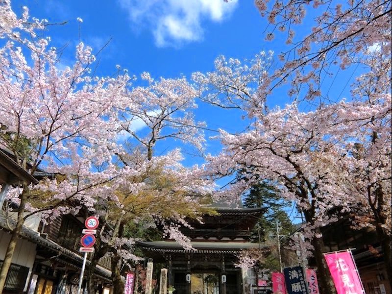 華厳寺
