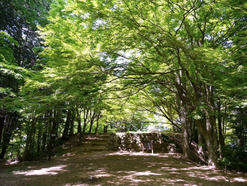 高山城（城山公園）
