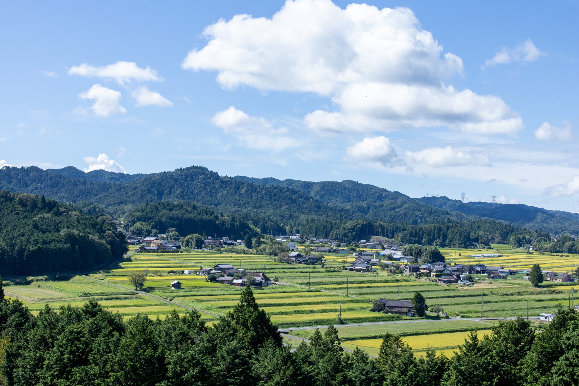 農村景観日本一の風景