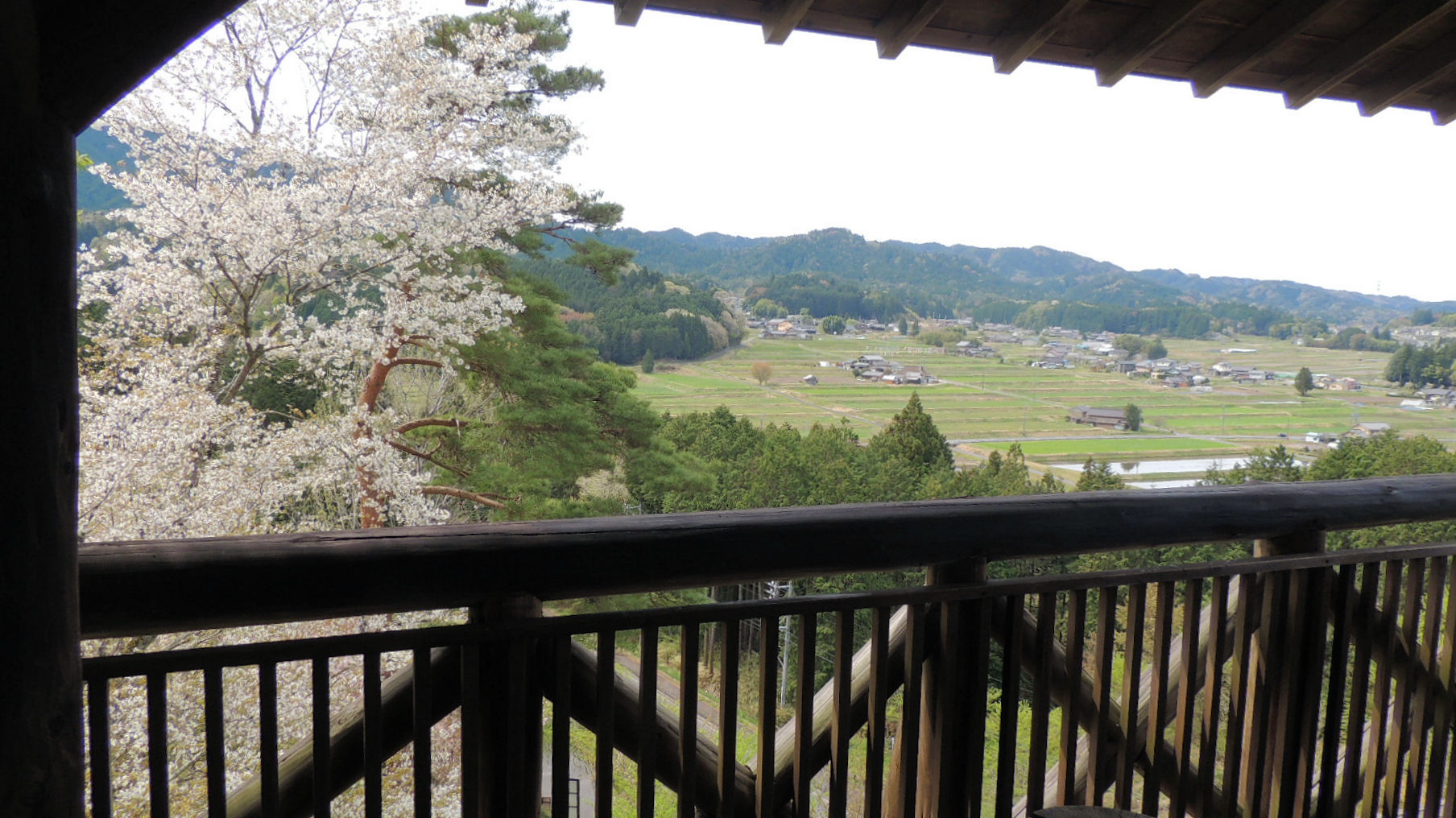農村景観日本一の風景