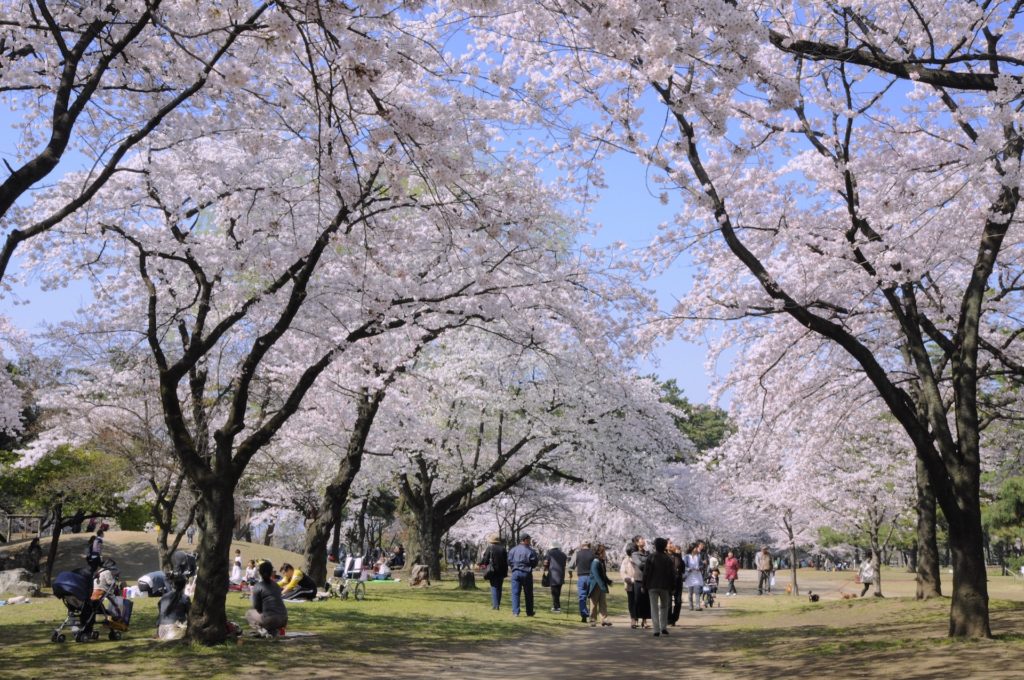 敷島公園