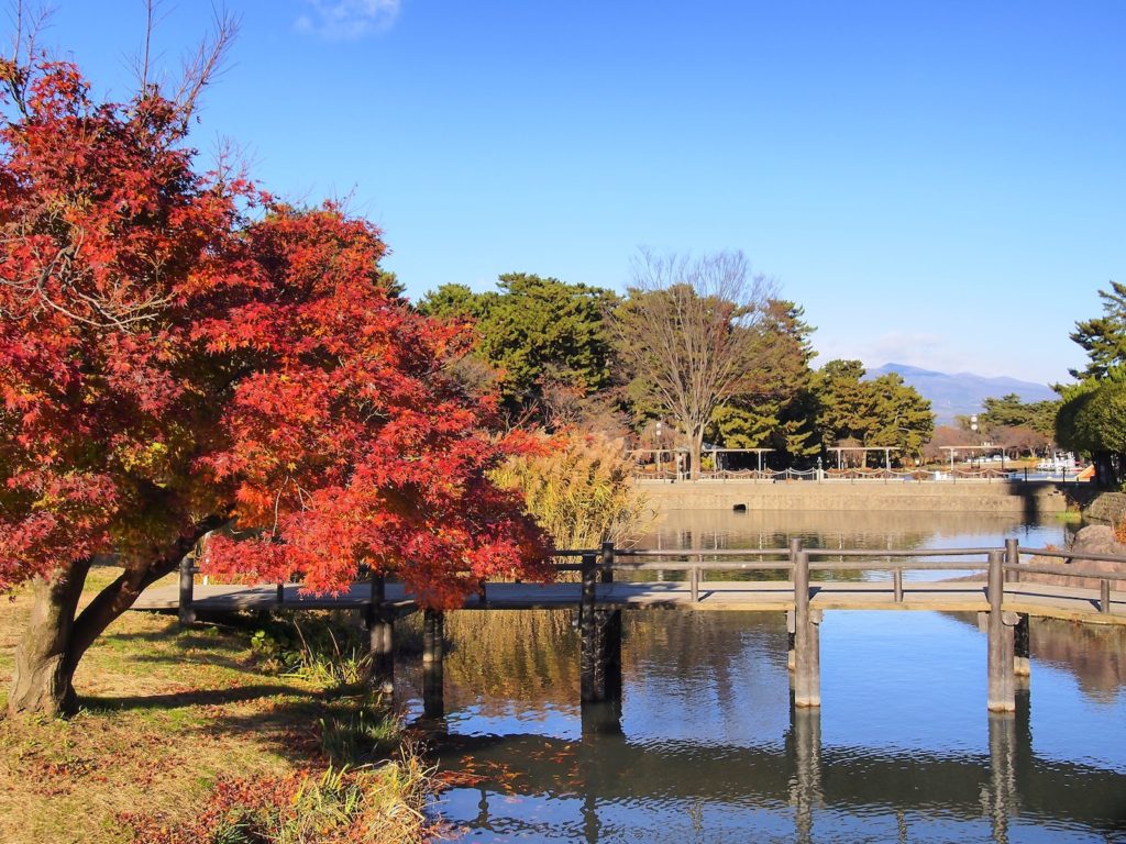 敷島公園