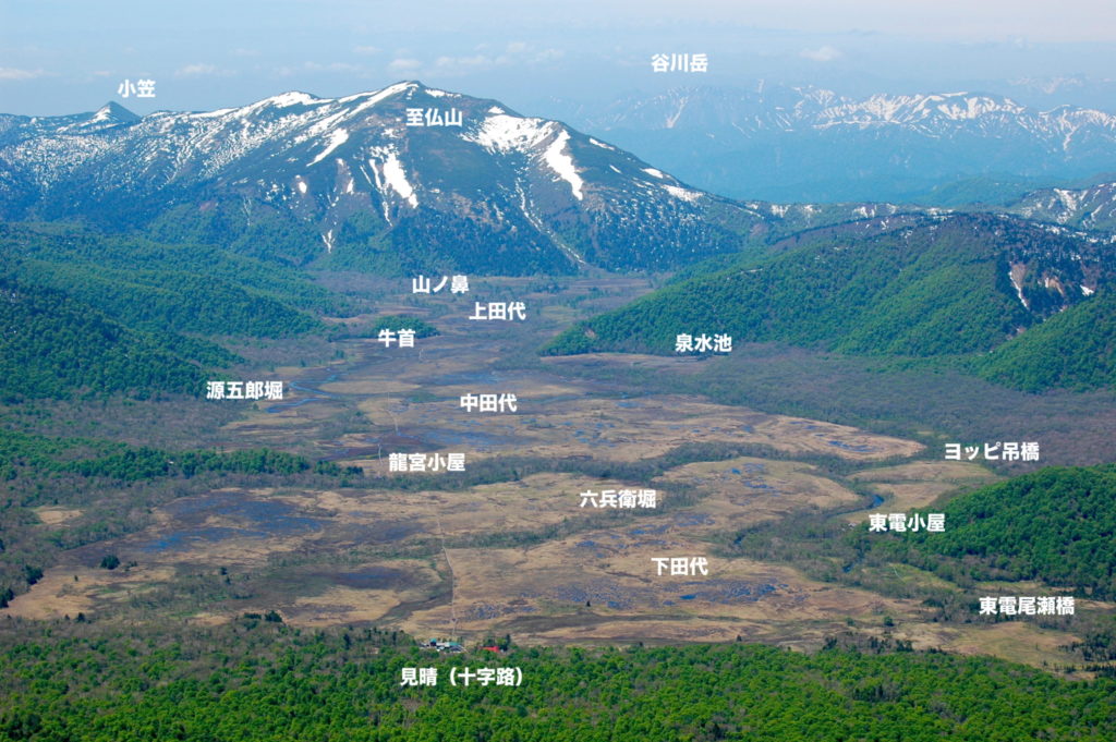 尾瀬ヶ原