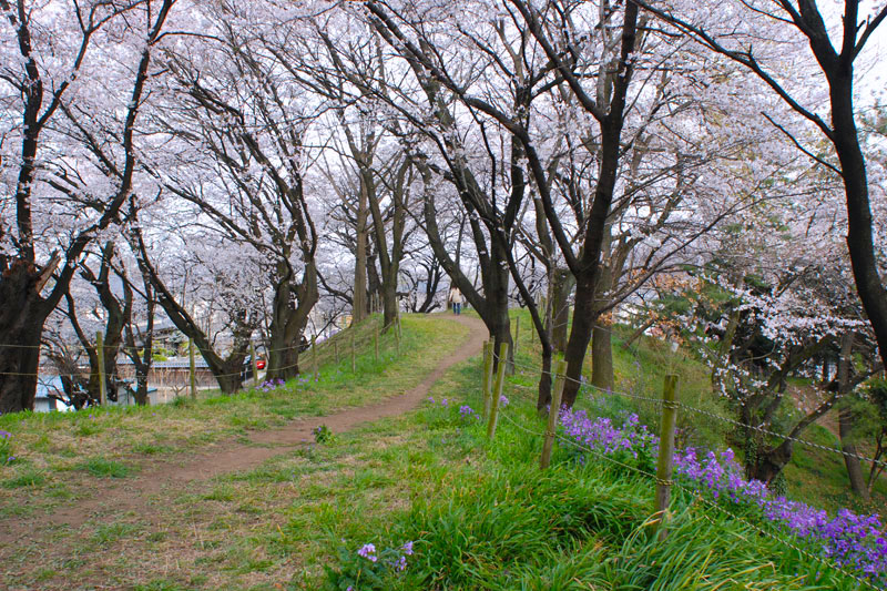 総社二子山古墳