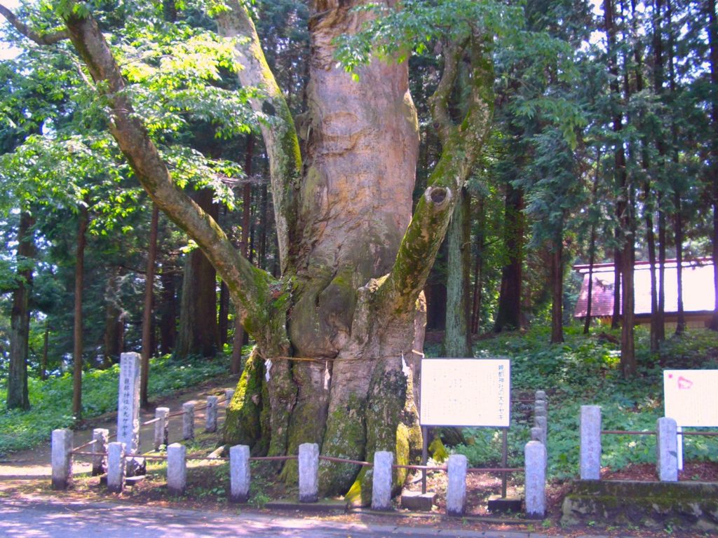 親都神社