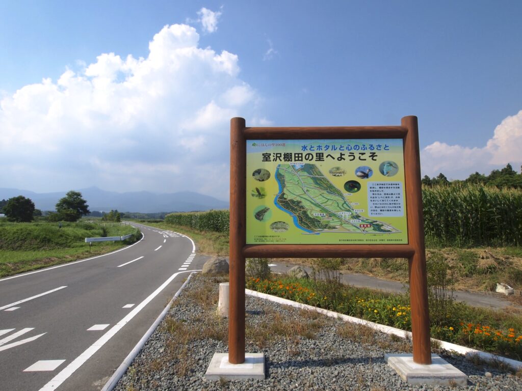 室沢の棚田