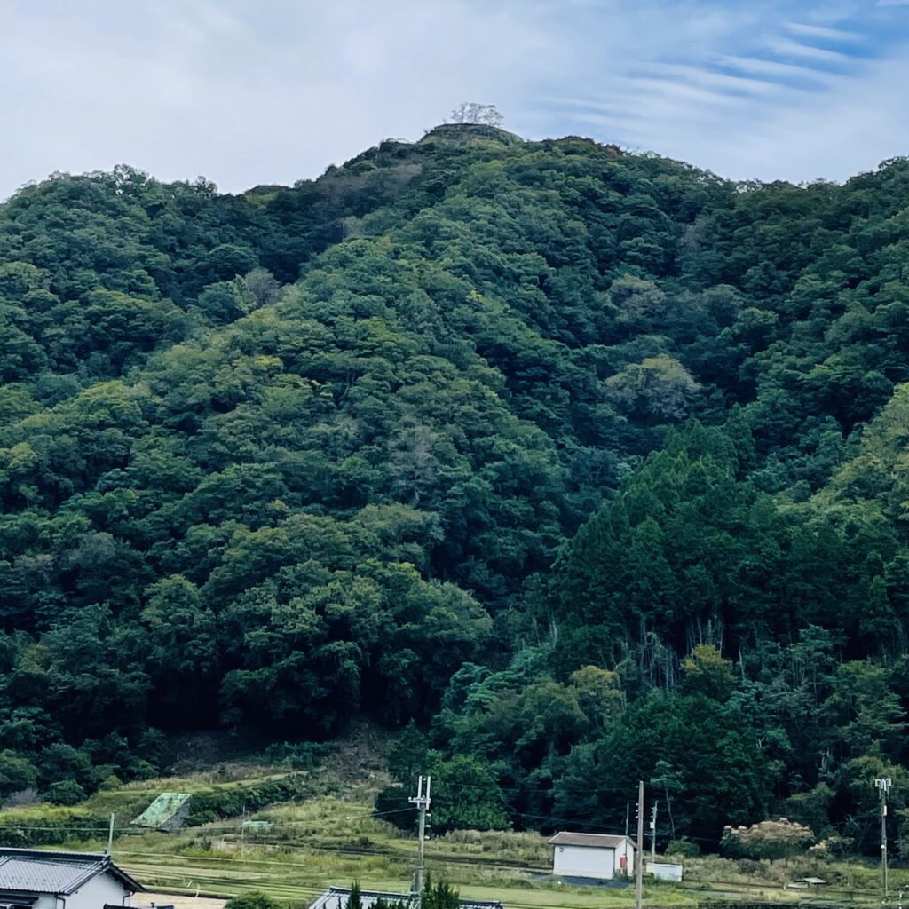 利神城