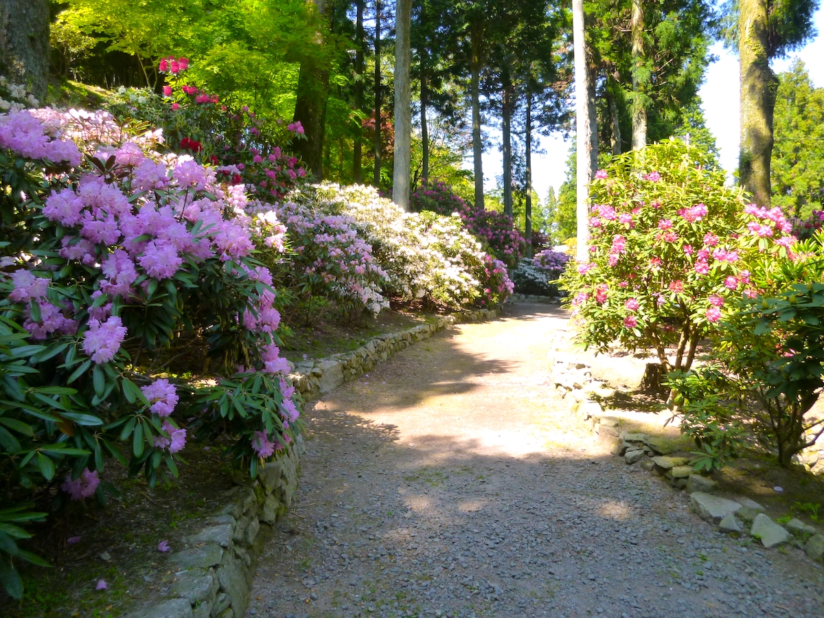 播州清水寺